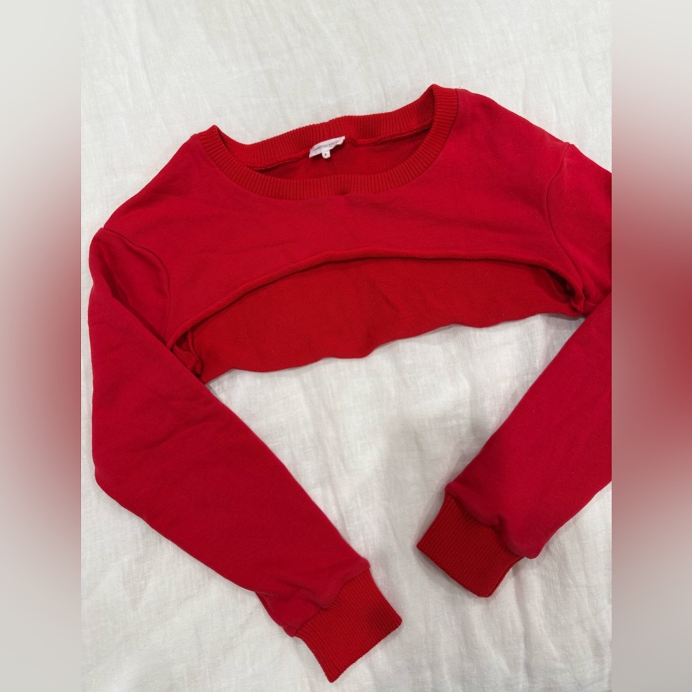 Mistress Rocks long sleeve crop sweater